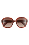 Rag & Bone 53mm Gradient Square Sunglasses In Havana Brown/ Brown Gradient