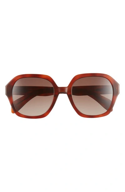Rag & Bone 53mm Gradient Square Sunglasses In Havana Brown/ Brown Gradient