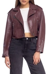Blanknyc Faux Leather Crop Moto Jacket In Head Over Heels