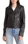 Sam Edelman Leather Moto Jacket In Black