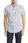 Rodd & Gunn Cross Hills Floral Short Sleeve Button-up Shirt In Snow