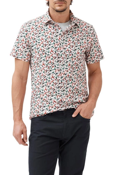 Rodd & Gunn Hillmorton Sports Fit Print Short Sleeve Cotton Button-up Shirt In Dusty Pink