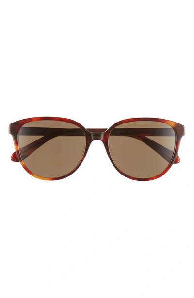 Kate Spade Vienne 54mm Polarized Cat Eye Sunglasses In Havana Brown/ Bronze Polar