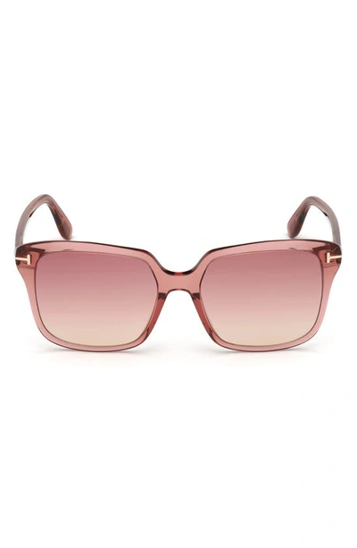 Tom Ford Faye 56mm Gradient Square Sunglasses In Shiny Pink / Bordeaux