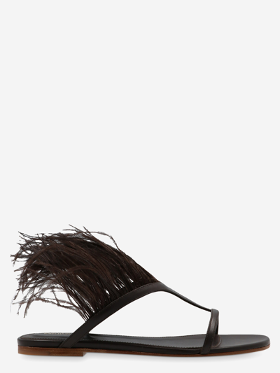 Emilio Pucci Feather Sandals In Brown