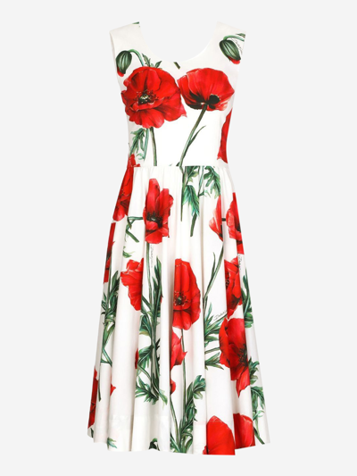 Dolce & Gabbana Floral-print A-line Dress In White