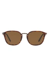 Persol 53mm Polarized Phantos Sunglasses In Tortoise/brown Polarized Solid