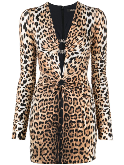 Roberto Cavalli Leopard Print V-neck Minidress In Neutrals