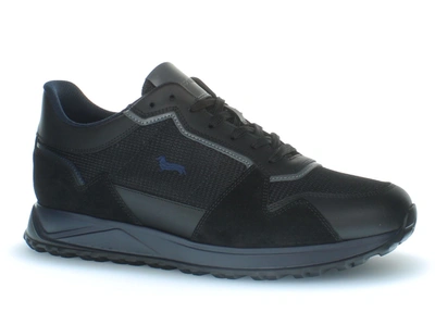 Harmont & Blaine Trainers In Black