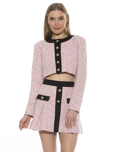 Alexia Admor Cropped Tweed Jacket In Pink Multi