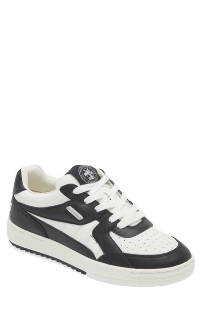 Palm Angels University Low Top Sneaker In White Black