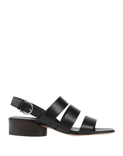 Ferragamo Woman Sandals Black Size 10 Bovine Leather