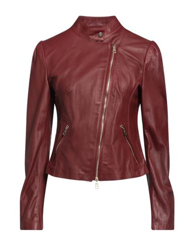 Stewart Woman Jacket Burgundy Size 8 Lambskin In Red