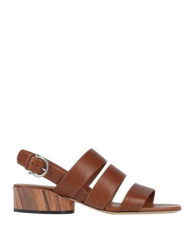 Ferragamo Woman Sandals Tan Size 11 Calfskin In Brown