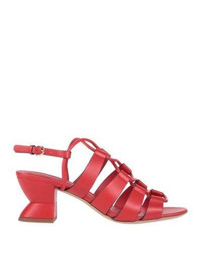 Ferragamo Woman Sandals Red Size 10.5 Calfskin