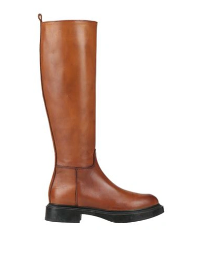 Baldinini Woman Knee Boots Brown Size 11 Calfskin