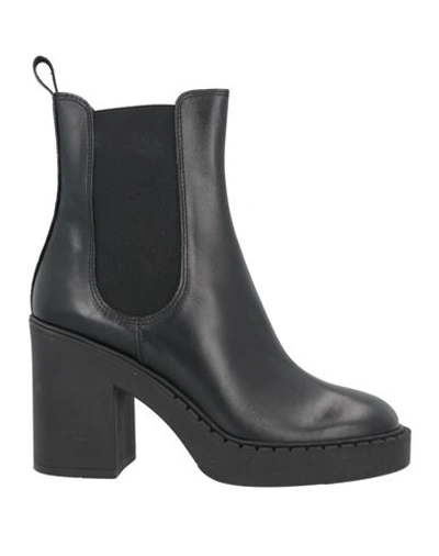 Baldinini Woman Ankle Boots Black Size 11 Calfskin