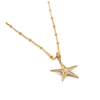 Dainty London Solid Gold Starfish Necklace