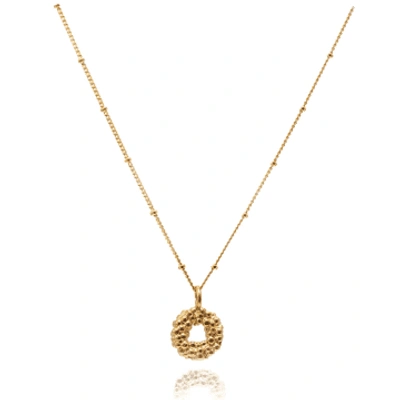 Dainty London Solid Gold Barnacle Necklace