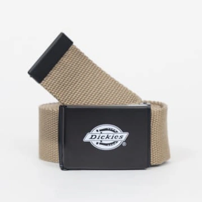 Dickies Orcutt Webbing Logo Buckle Belt In Khaki In Neutrals