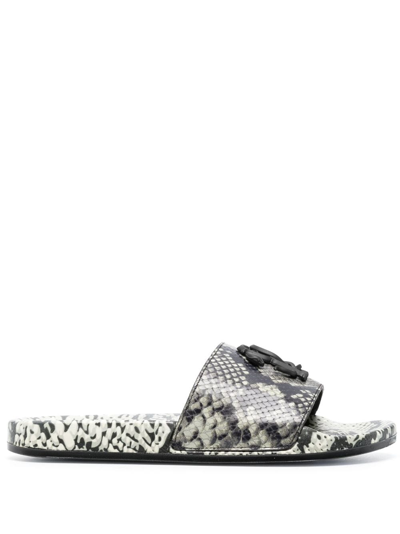 Roberto Cavalli Snakeskin-effect Flat Slides In Grau