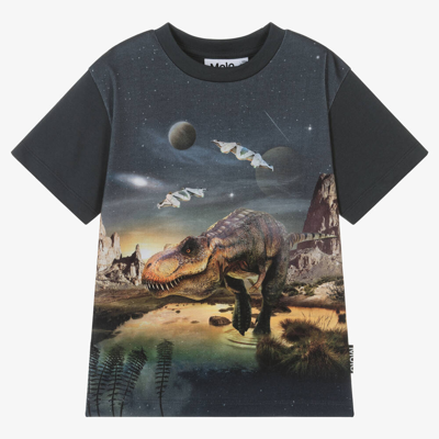 Molo Kids' Boys Grey Cotton T-rex Planet T-shirt
