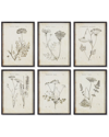 NAPA HOME & GARDEN NAPA HOME & GARDEN SET OF 6 WILDFLOWER STUDY