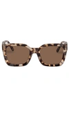 AIRE ABSTRACTION SUNGLASSES