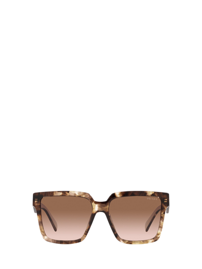 Prada Pr 24zs Caramel Tortoise Sunglasses