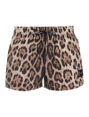 Dolce & Gabbana Short Swim Trunks With Leopard Print In M Leo New