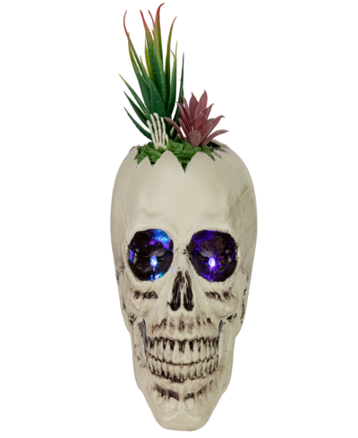 Northlight 8.75" Led Lighted Succulent Halloween Skull Planter In White