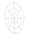 Northlight 5' Lighted Spider In Web Halloween Decoration, Wire In Orange