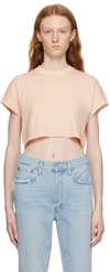 Agolde Pink Aiden T-shirt In Fairy (med Washed Ro