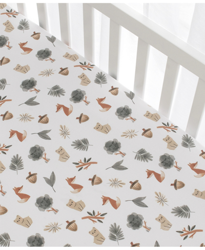 Living Textiles Baby Boys Printed Jersey Crib Sheet In Multicolor