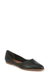 Zodiac Hill Pointed Toe Flat In Black