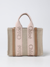Chloé Bag In Canvas And Leather With Embroidered Logo In Beige