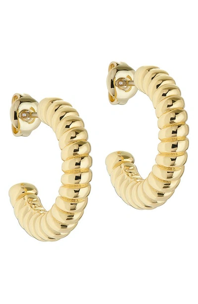 Ted Baker Tottie Twist Hoop Earrings In Gold Tone