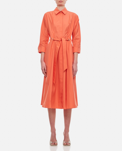 Max Mara Nupar Cotton-poplin Midi Dress In Orange