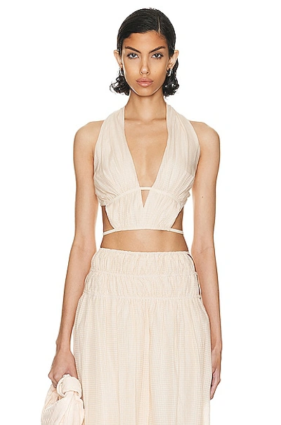 Cult Gaia Miriam Gingham-print Cropped Top In Neutrals