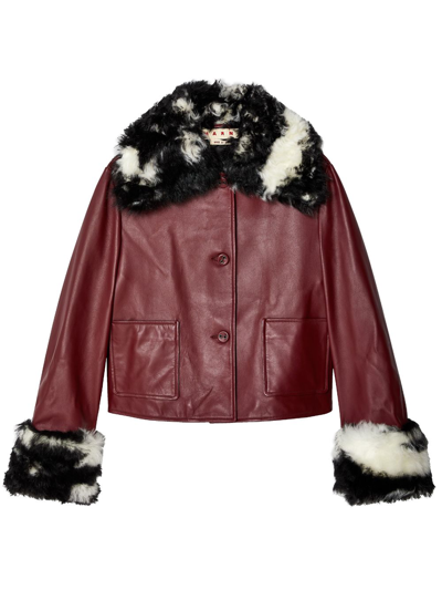 Marni Oversize-collar Leather Jacket In Red