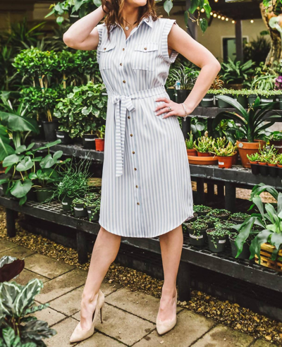 Bishop + Young Striped Shirt Dress In Blue In Grey