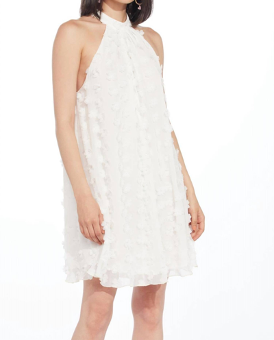 Eva Franco Halter Swing Mini Dress In White Petal