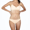 Bromelia Swimwear Pantanal Bikini Top In Brown