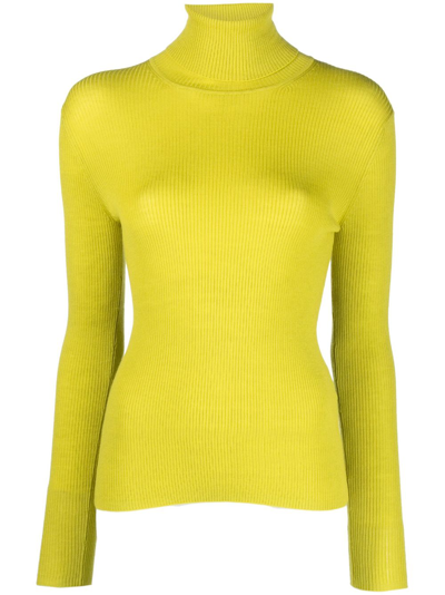P.a.r.o.s.h Roll-neck Wool Jumper In Green