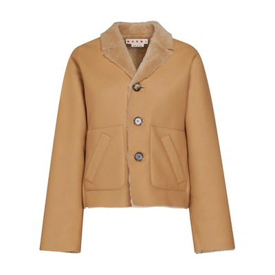 Marni Reversible Shearling Jacket In Wheat