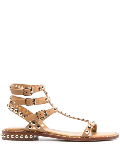 Ash Play Stud Embellished Sandals In Brown