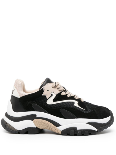 Ash Panelled Low-top Sneakers In Black