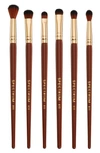 SPECTRUM PANTHERINE 6-PIECE EYE MAKEUP BRUSH SET $45 VALUE