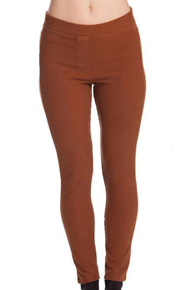 Angel High Waisted Jegging In Mocha In Brown