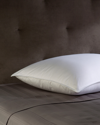 Belle Epoque Castle Chateau Firm-fill Down Side Sleeper Pillow
